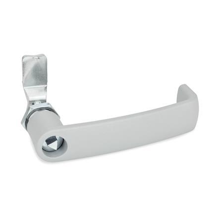 Otto Ganter Latch with Cabinet U Handle Operation with Socket Key, GN 115.7